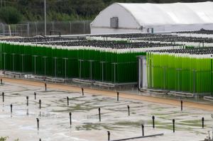 14 algae production possibilities accelerate