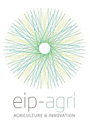 Logotipo da EIP