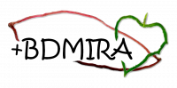 logo BDMIRA