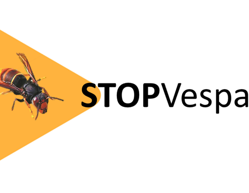 logo Stopvespa