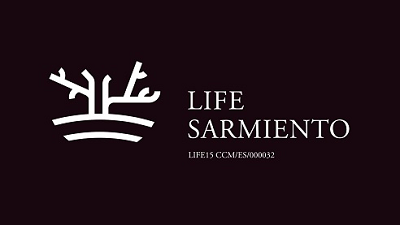 LifeSarmiento logo