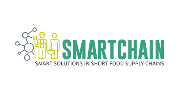 SmartChain logo