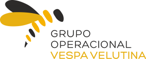 VespaVelutina logo