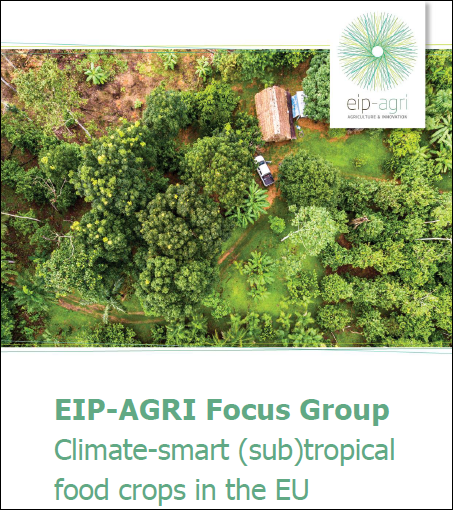 EIP AGRI Group Climate smart subtropical