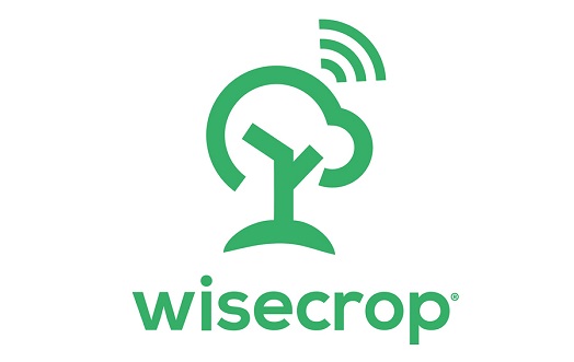 Logo Wisecrop