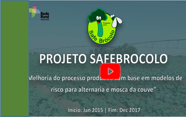 SafeBrocolovideo2