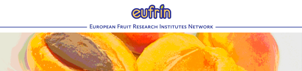 Eufruit Logo