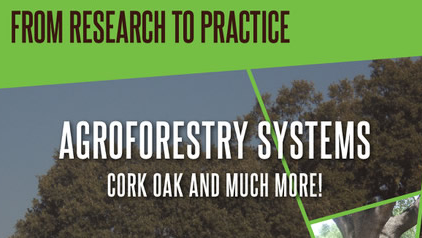 agroforesty systems