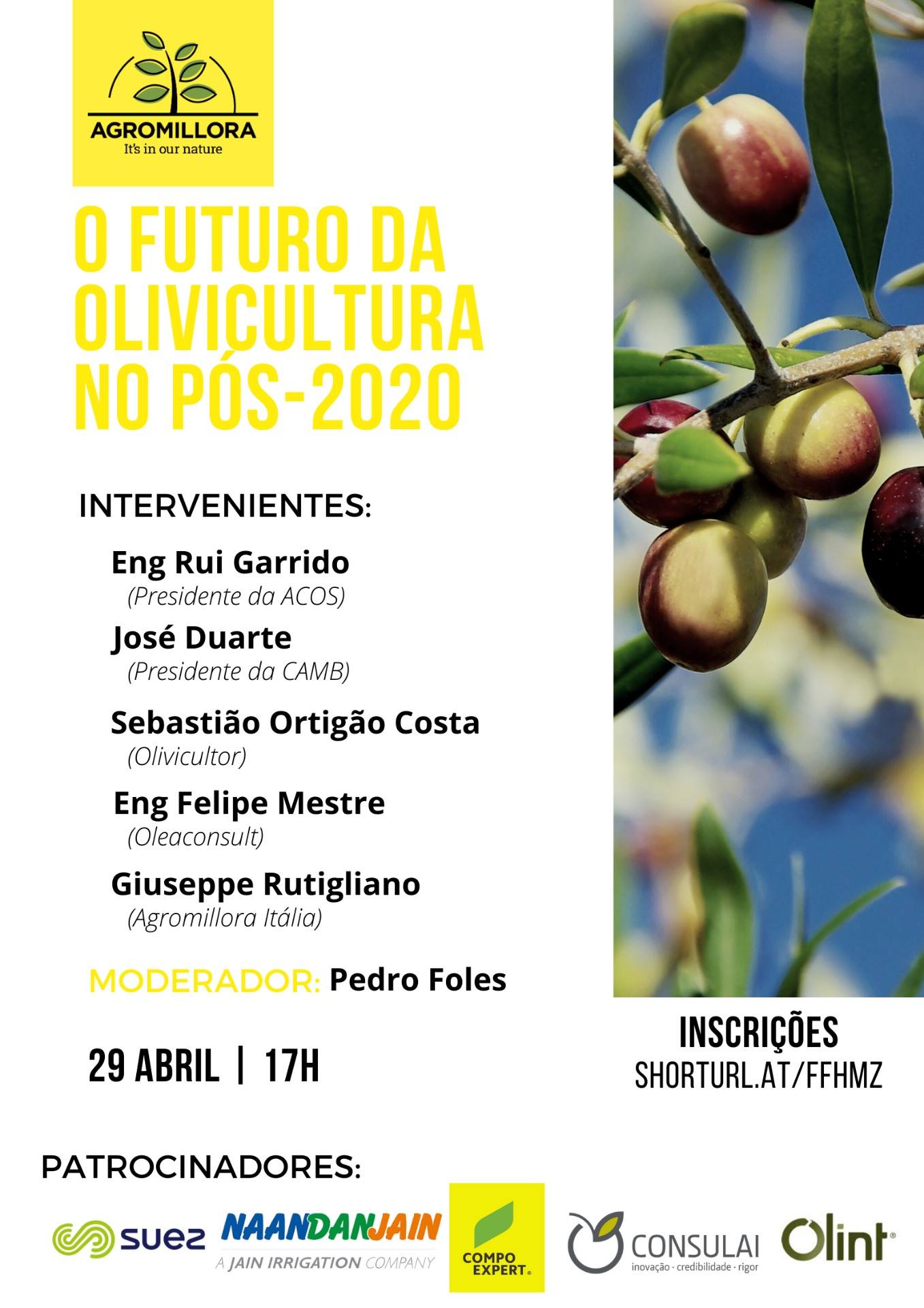 webinar futuro olivicultura ptograma