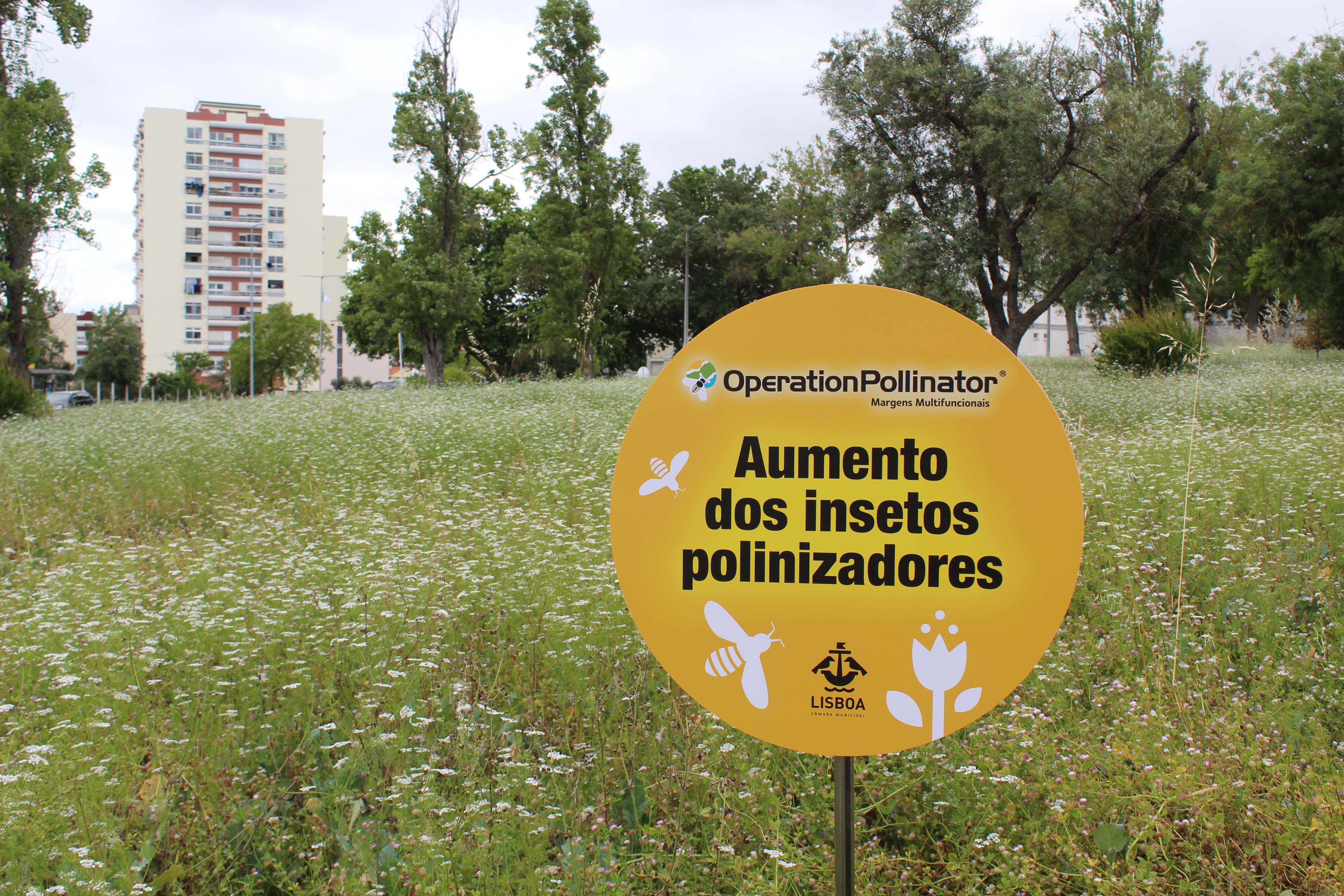 Operation Pollinator Lisboa