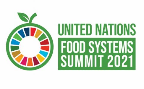 UN foos systems summit