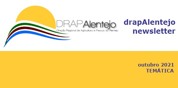 drapal newsletter out21