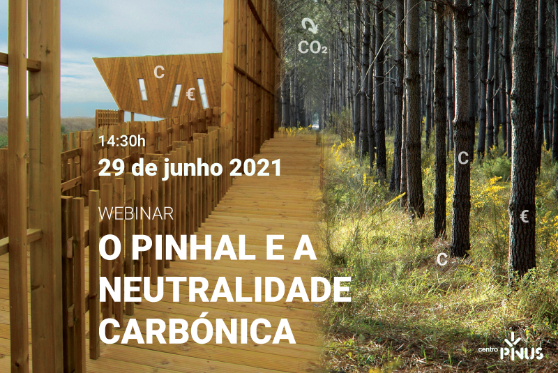 neutralidade carbonica post site