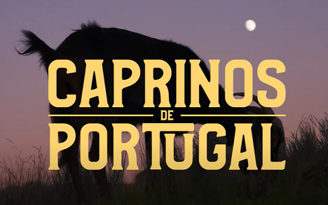 Caprinos de Portugal