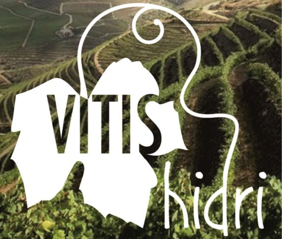 Vitishidri logo