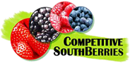 CompetetitiveSouthBerries 1