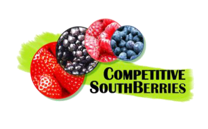 CompetitiveSouthBerries logo