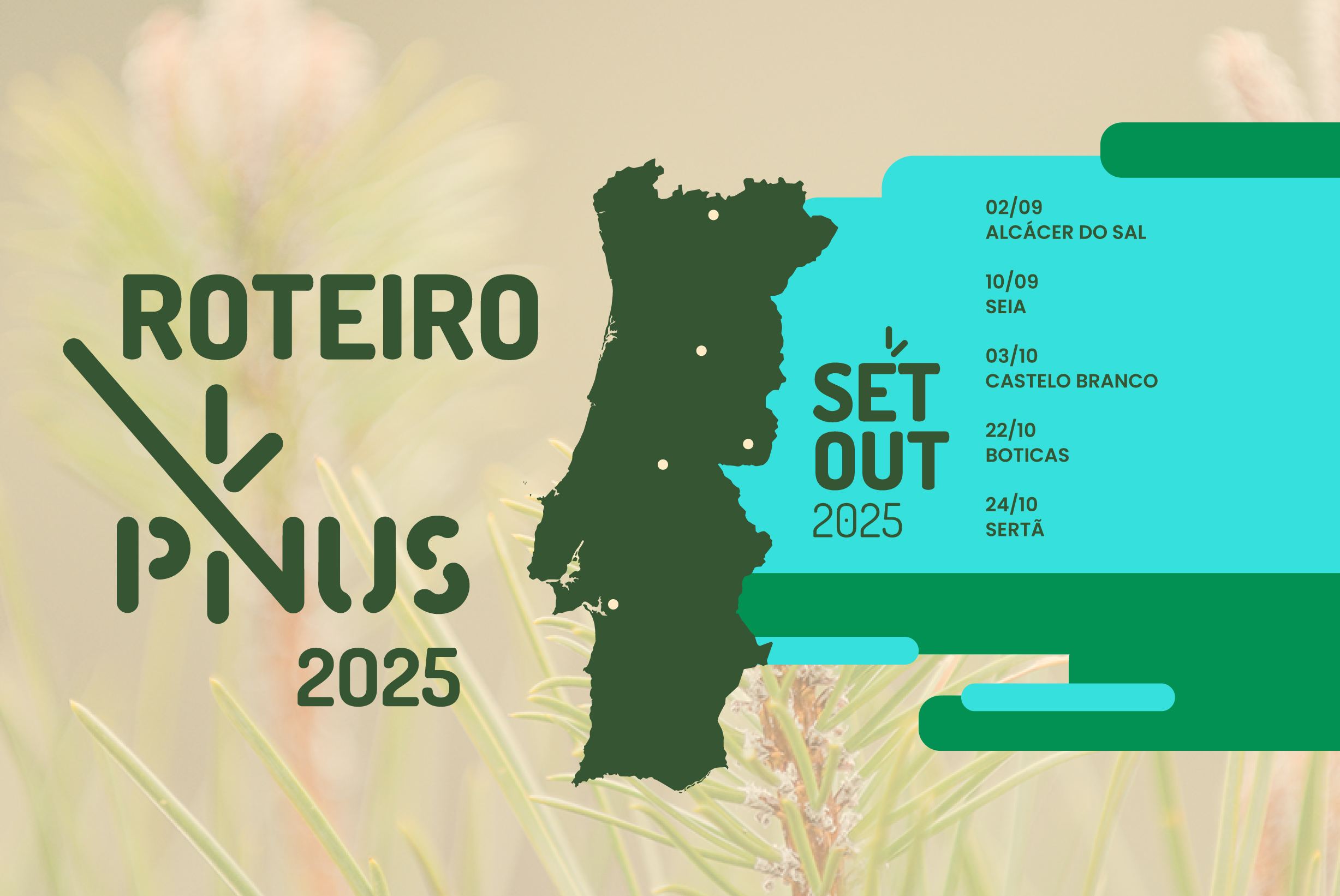 2ETAPARoteiroPINUS 2025 quadrado 