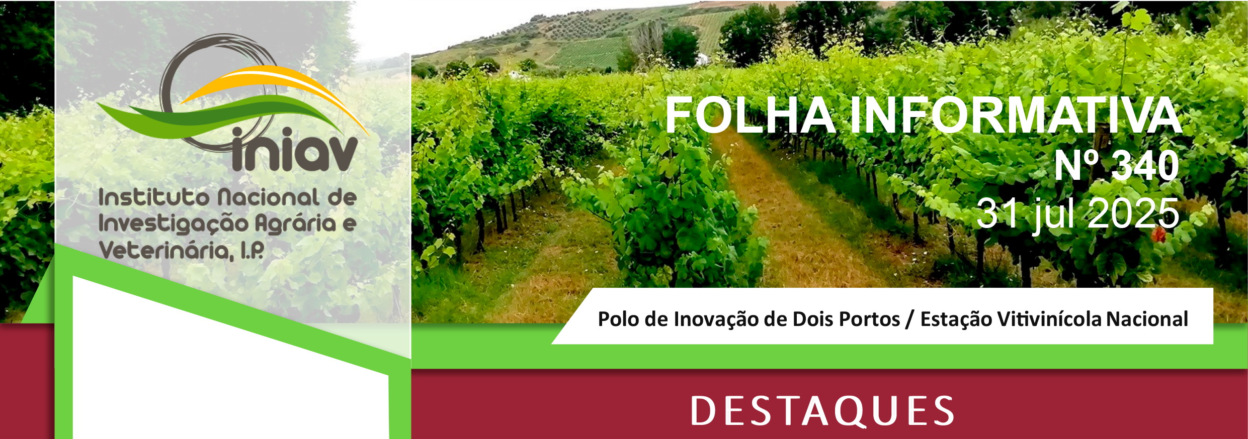 340 Folha Informativa 31 Julho 25 1