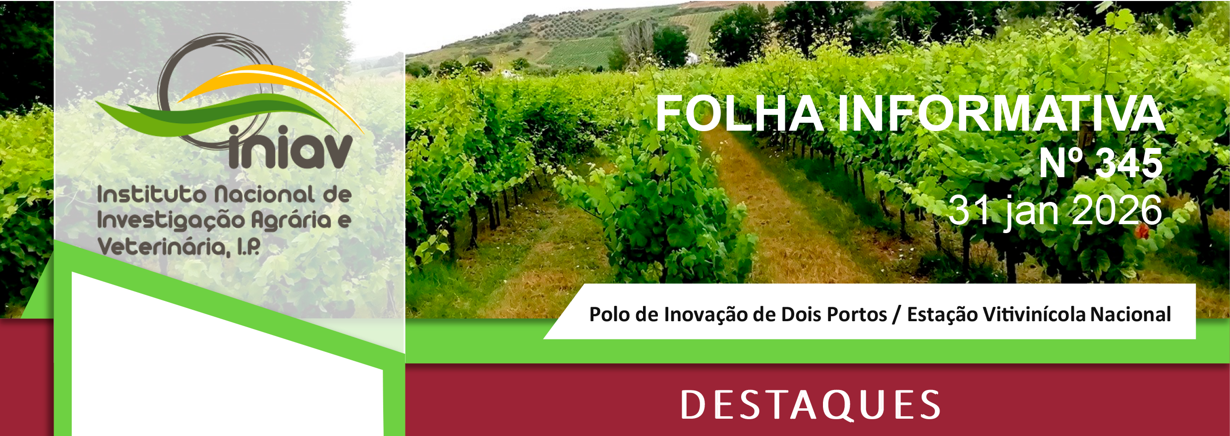 345 Folha Informativa 31 Janeiro 26 1