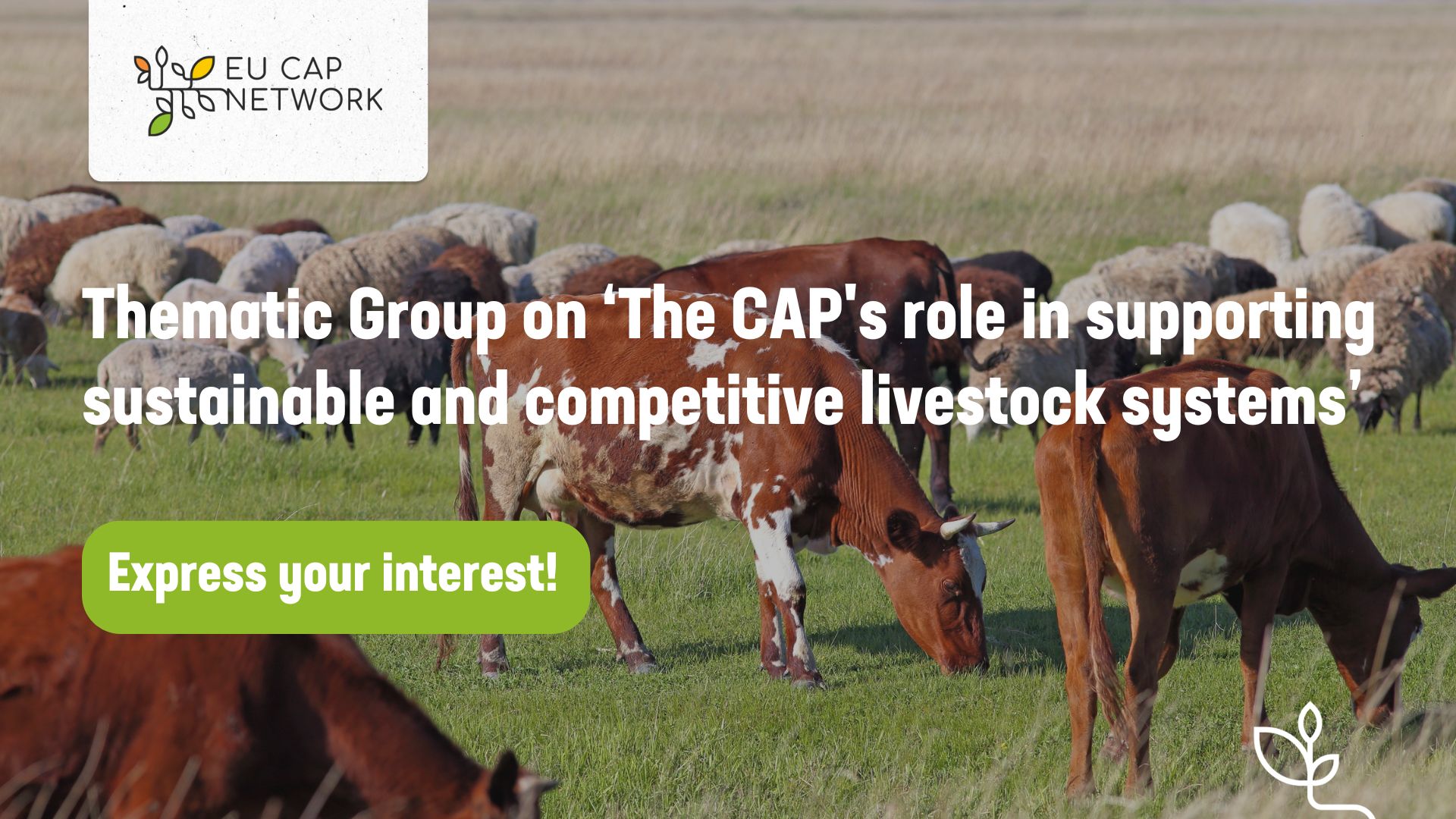 EU CAP NETWORK express your interest