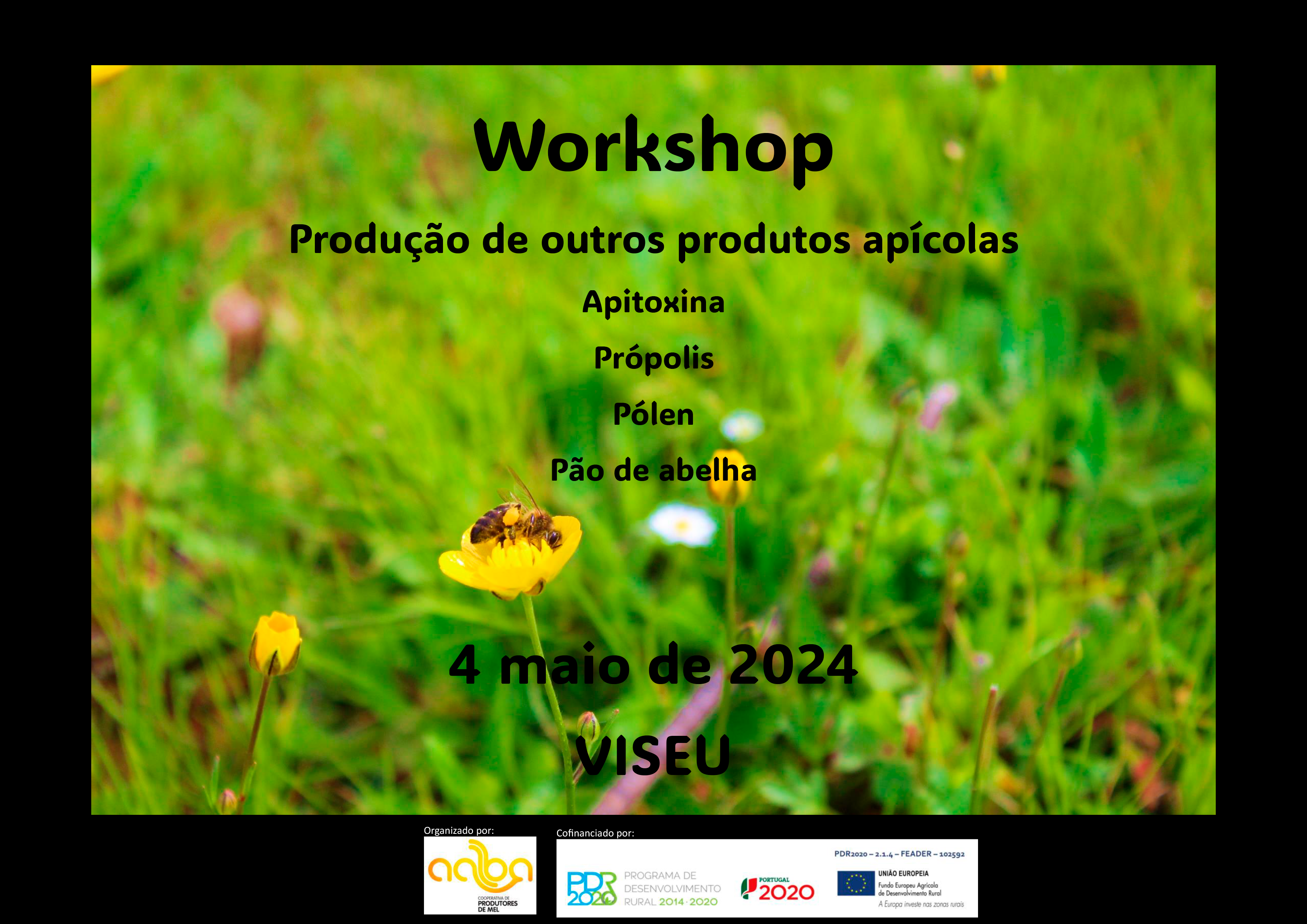 AALBA workshop Produção de outros produtos apícolas Viseu