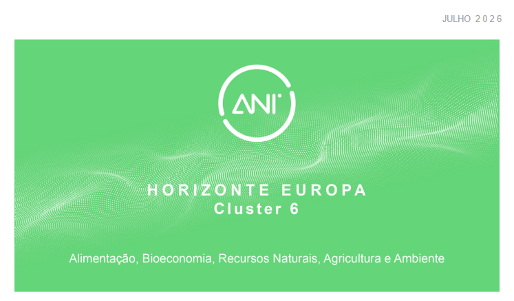 ANI horizonte 3julho
