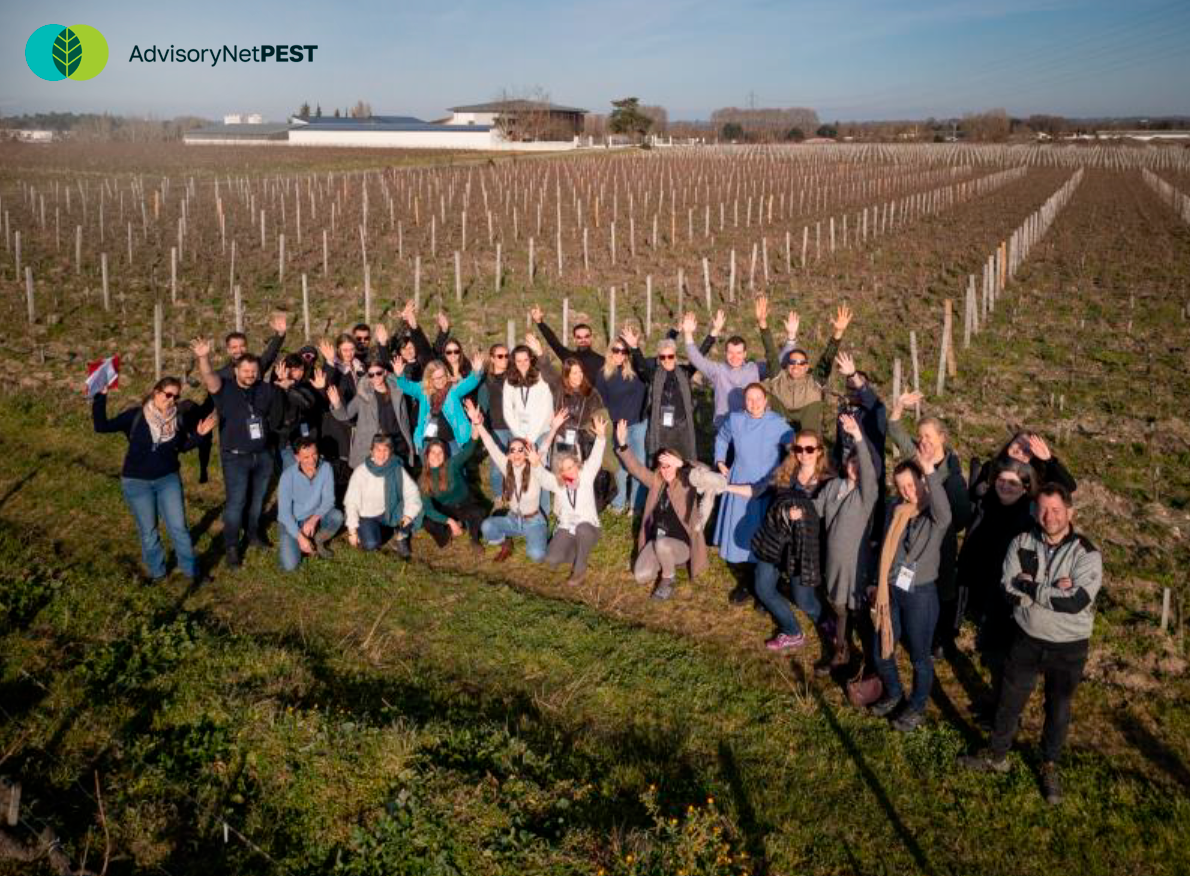 AdvisoryNetPest ReuniãoAnual PT 2