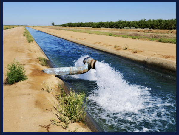Agriculture news