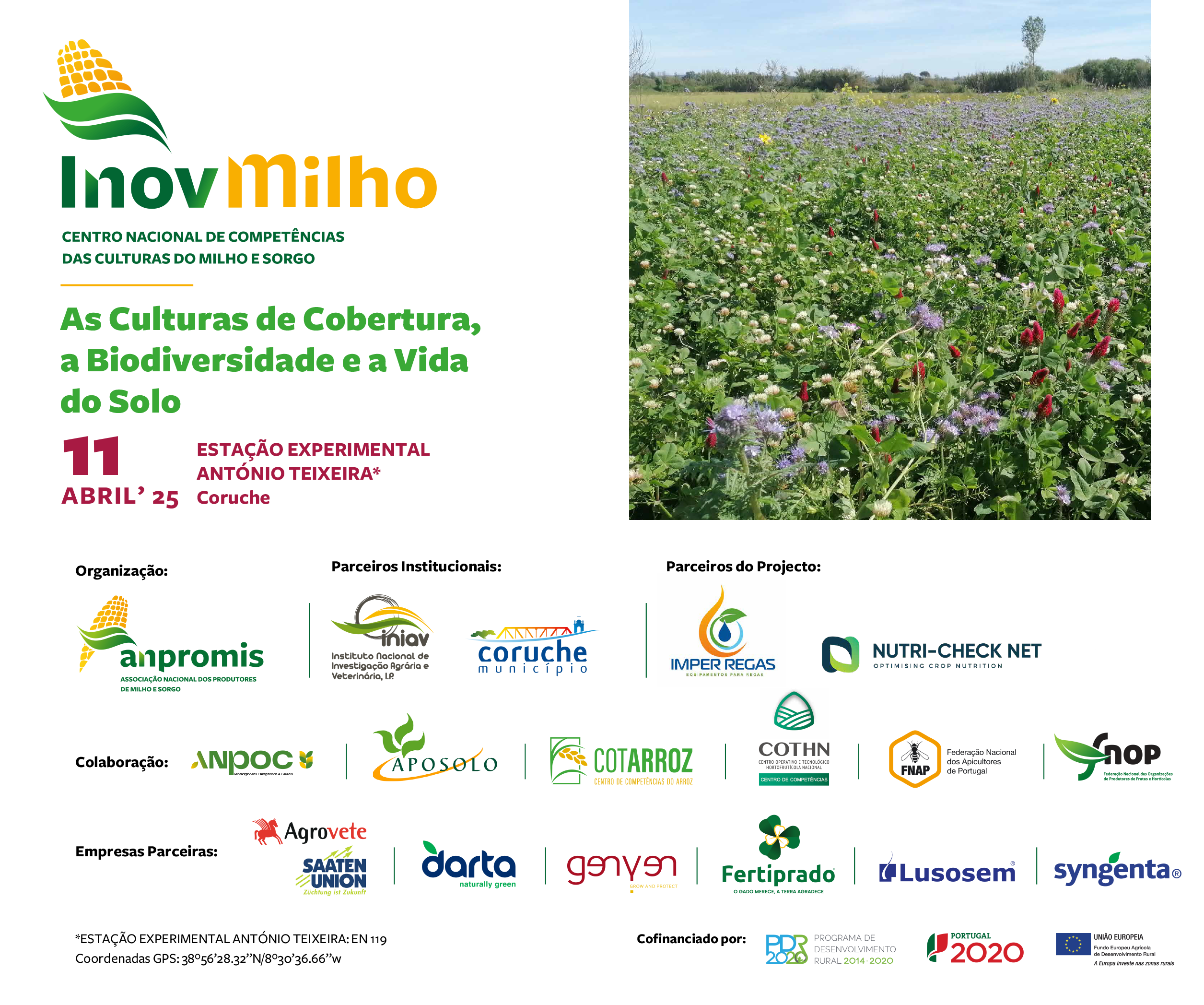 As Culturas de Cobertura a Biodiversidade e a Vida do Solo Programa Provisório V2 11 04 2025