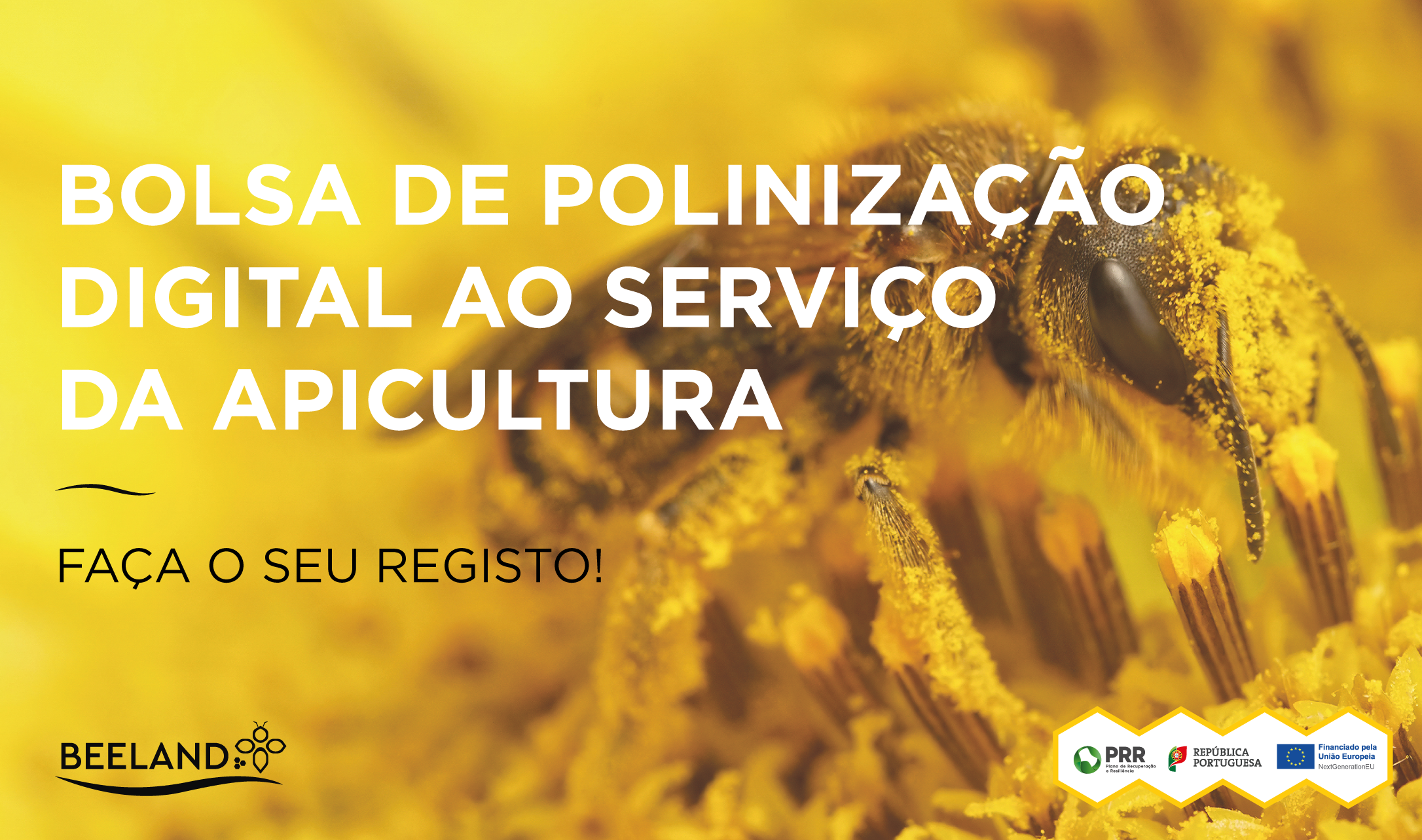 BANNER BOLSA APÍCOLA