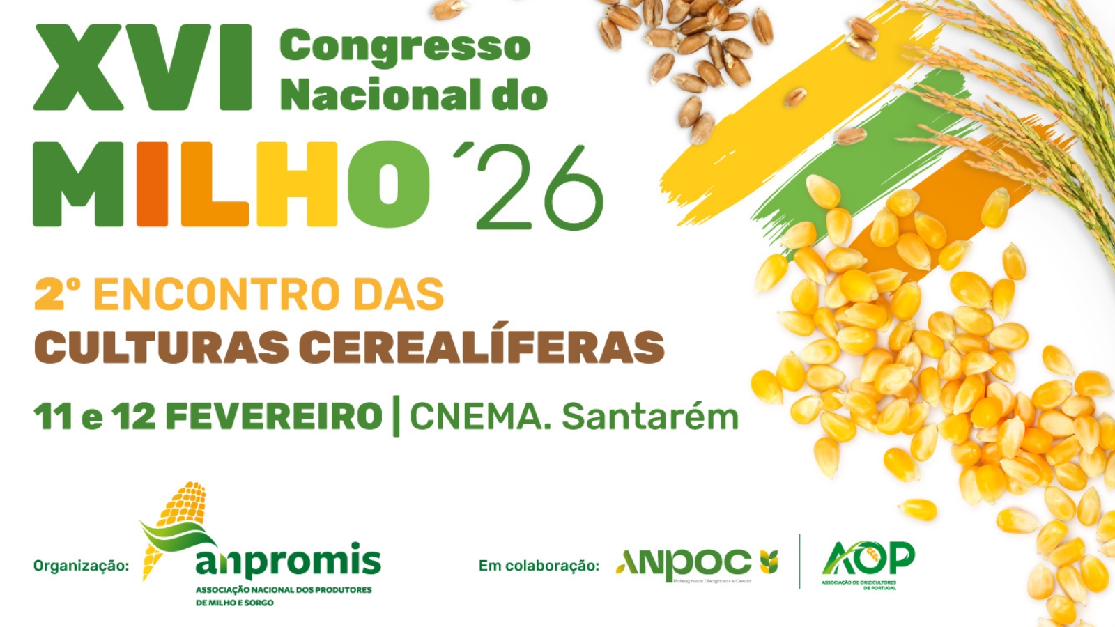 Banner XVI Congresso Nacional do Milho 2026