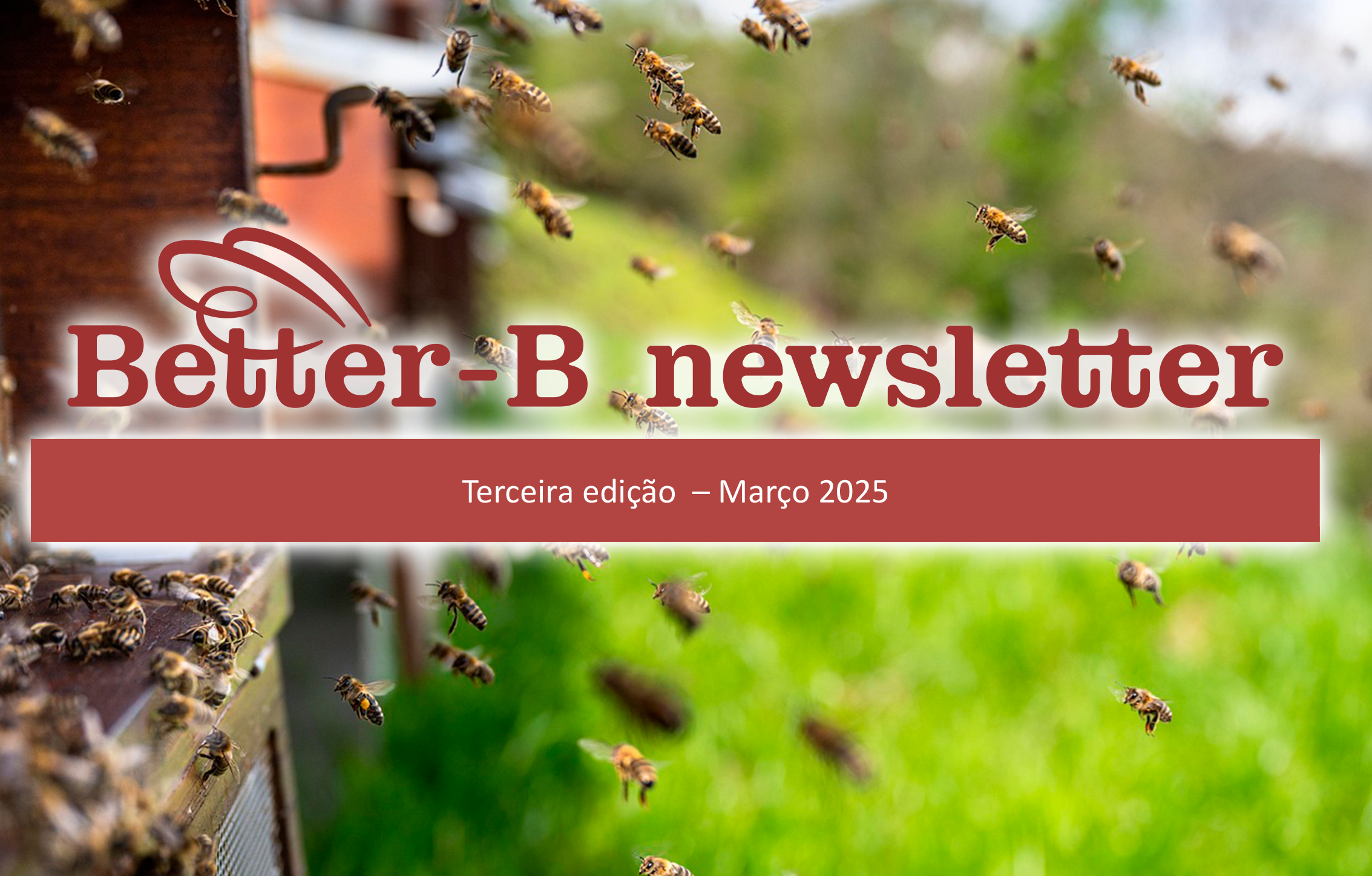 Better B Newsletter March2025 PT 1