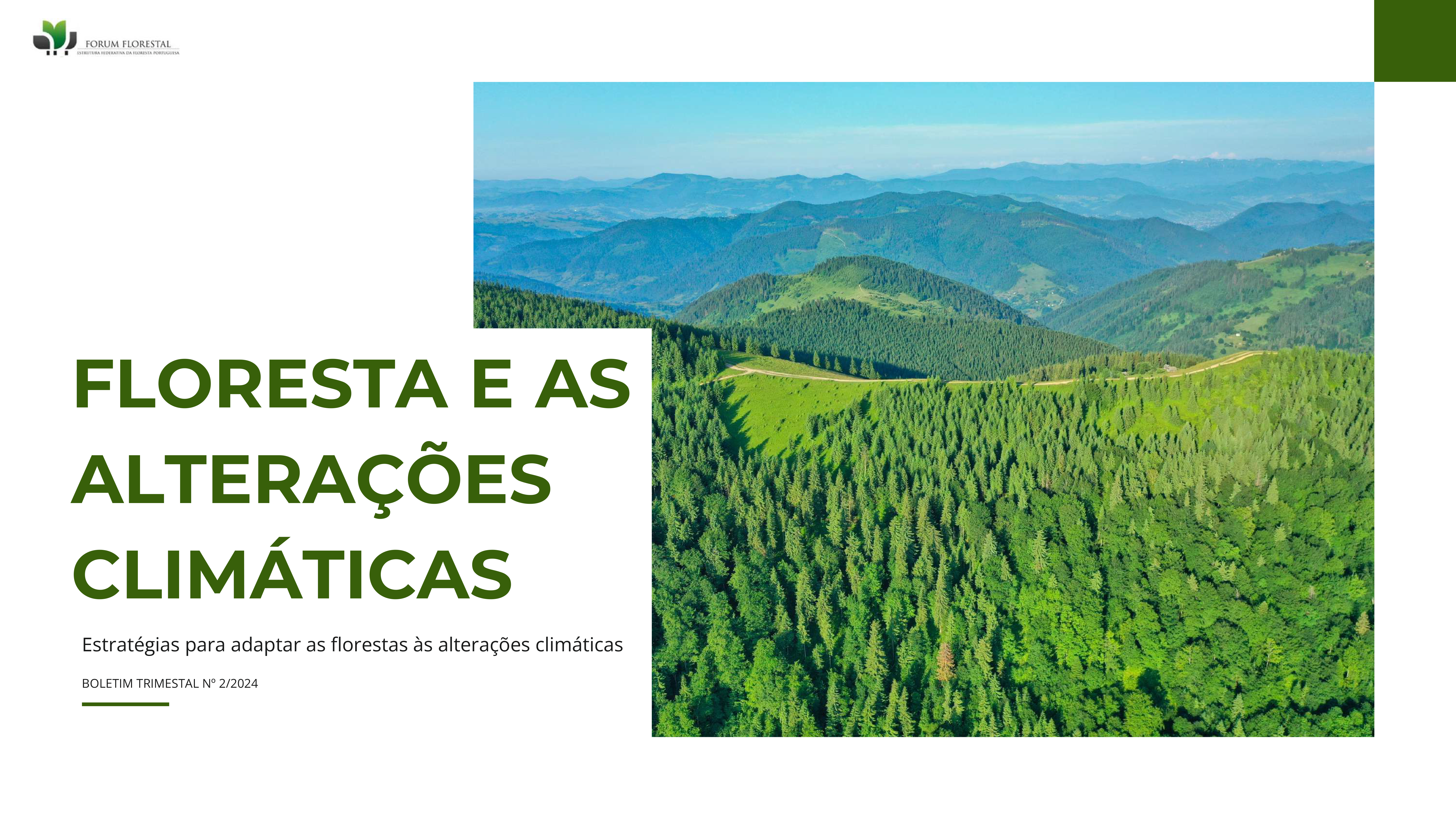 Boletim Trimestral Fórum Florestal Nº2 2024 1