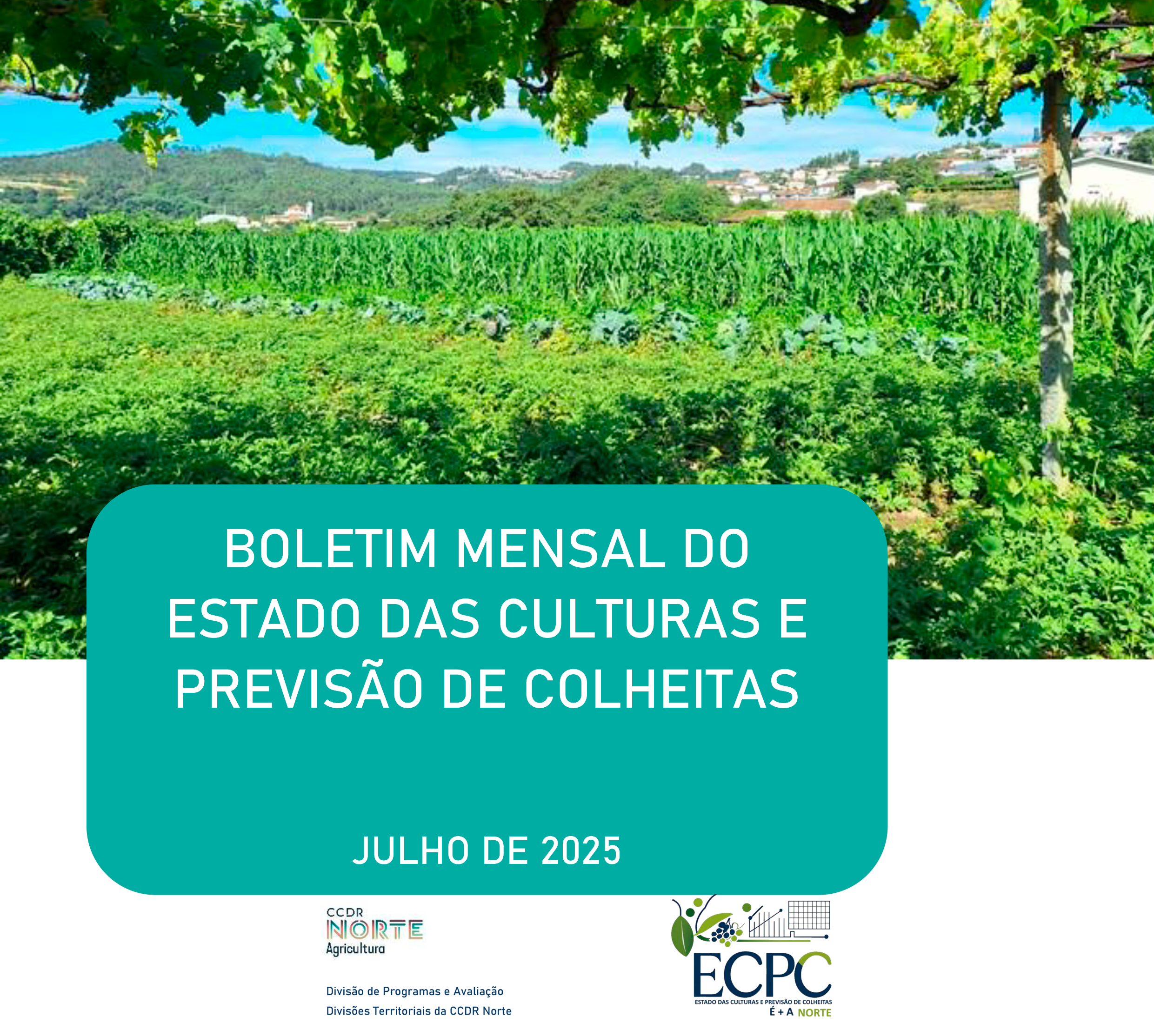 CCDR N ECPC 2025 07 1