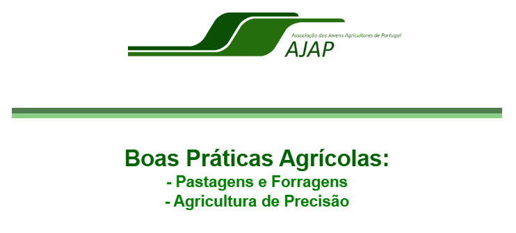 Captura de ecrã 2025 04 04 142836