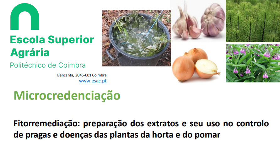 Captura de ecrã 2025 04 09 103620