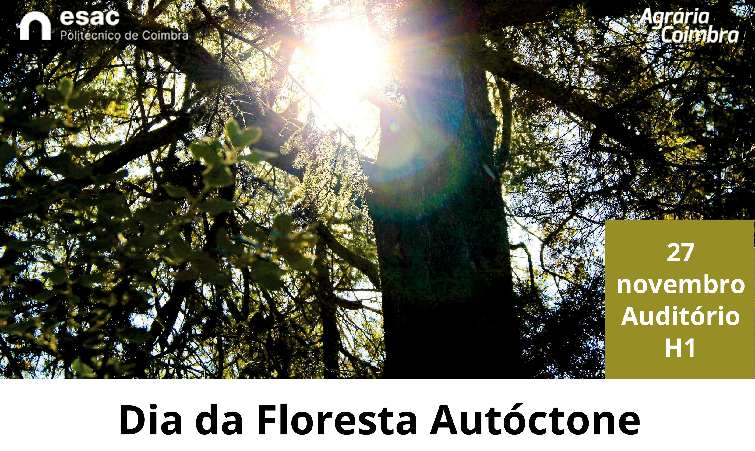 Cartaz Dia da Floresta Autoctone ESAC 2024 A4