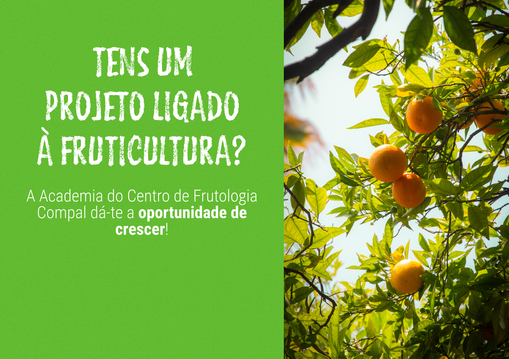 Cartaz Horizontal 1