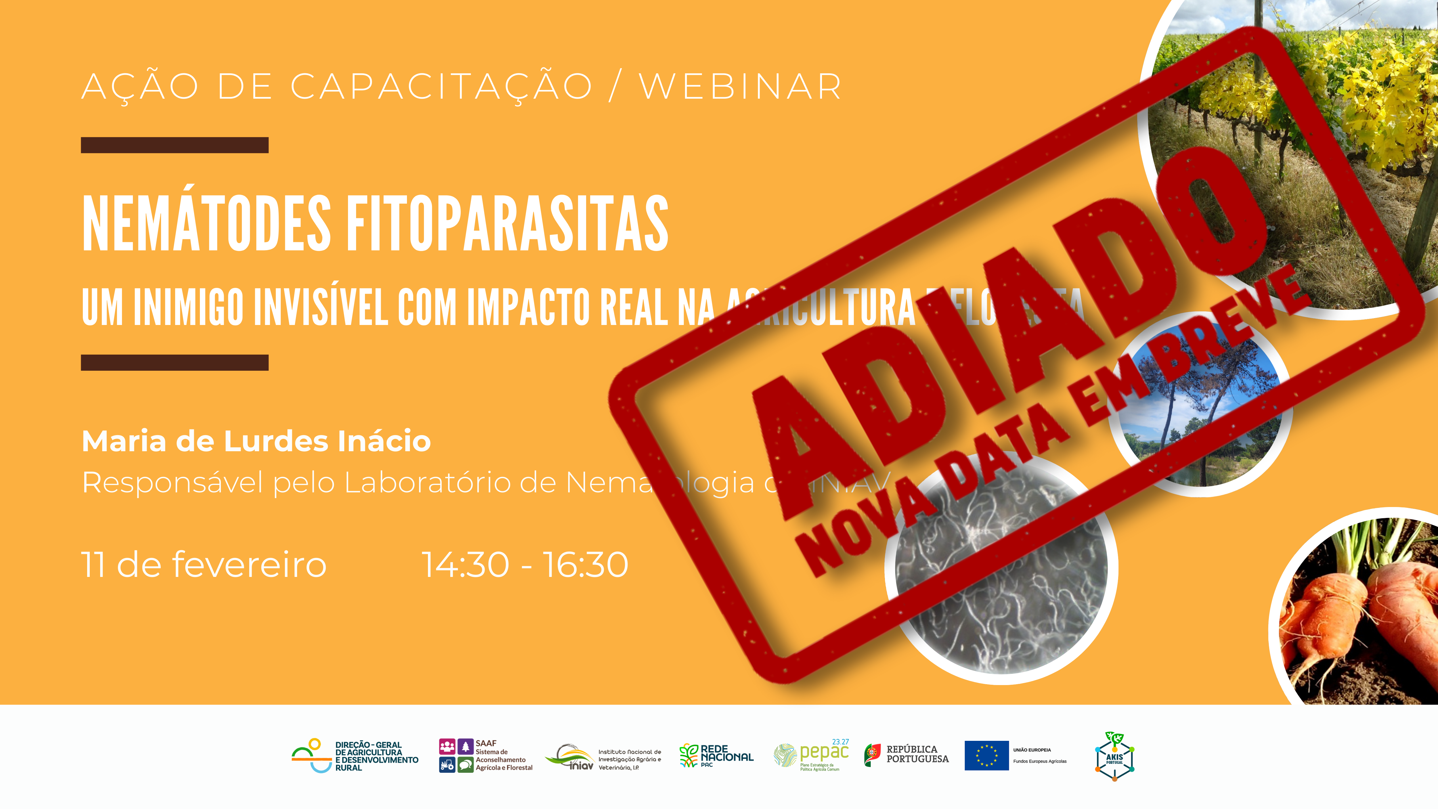 Cartaz webinar adiado