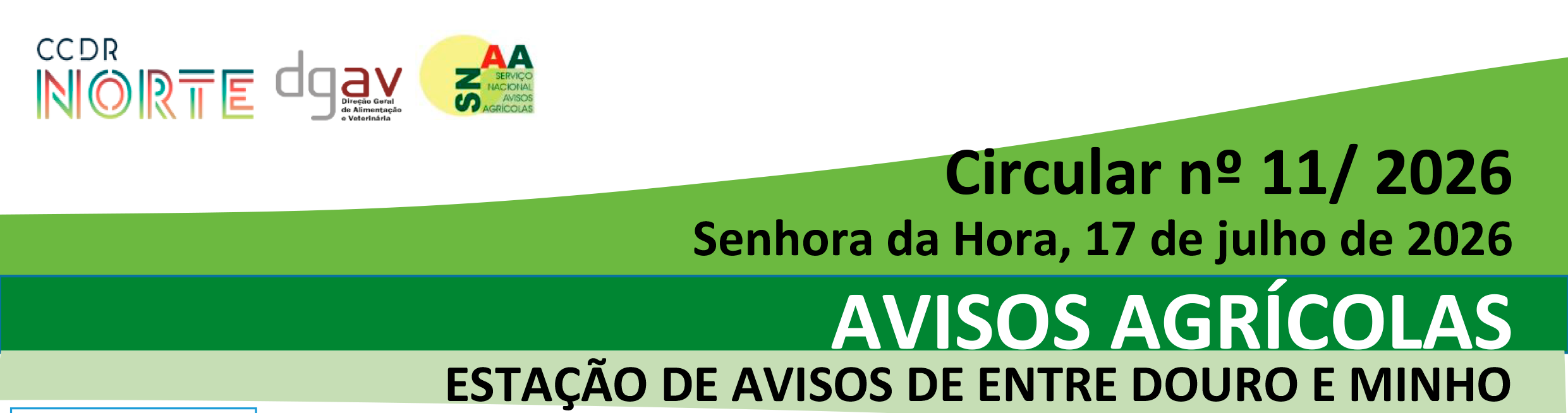 Circular11EAEDM 2026 1