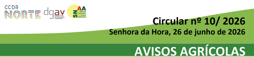Circular 10