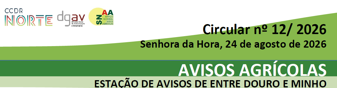 Circular 12 2026 Estação de Avisos de Entre Douro e Minho