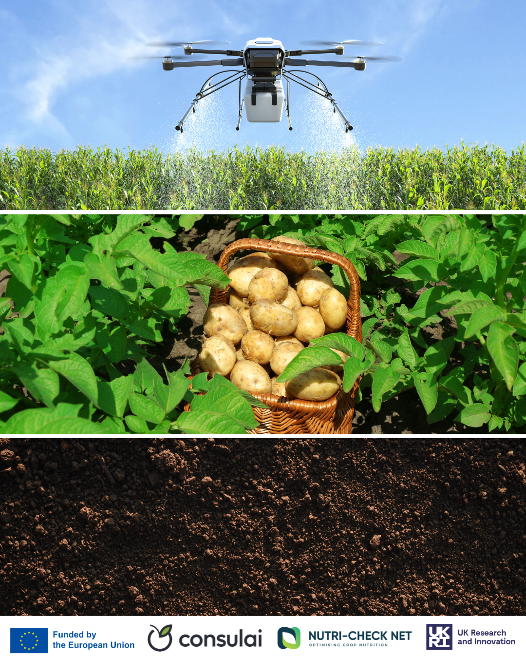Consulai webinars nutri checknet