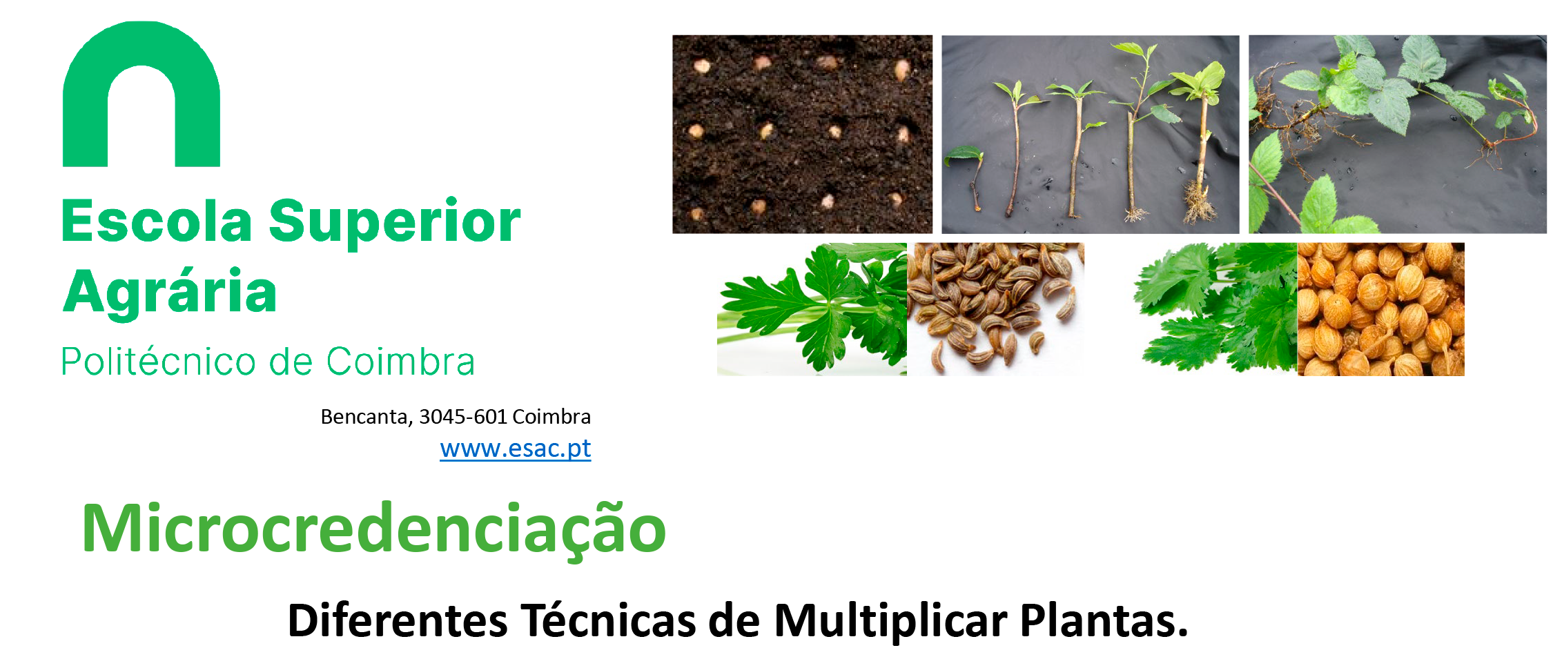 Curso Multiplicacao de Plantas 2025 abr2025