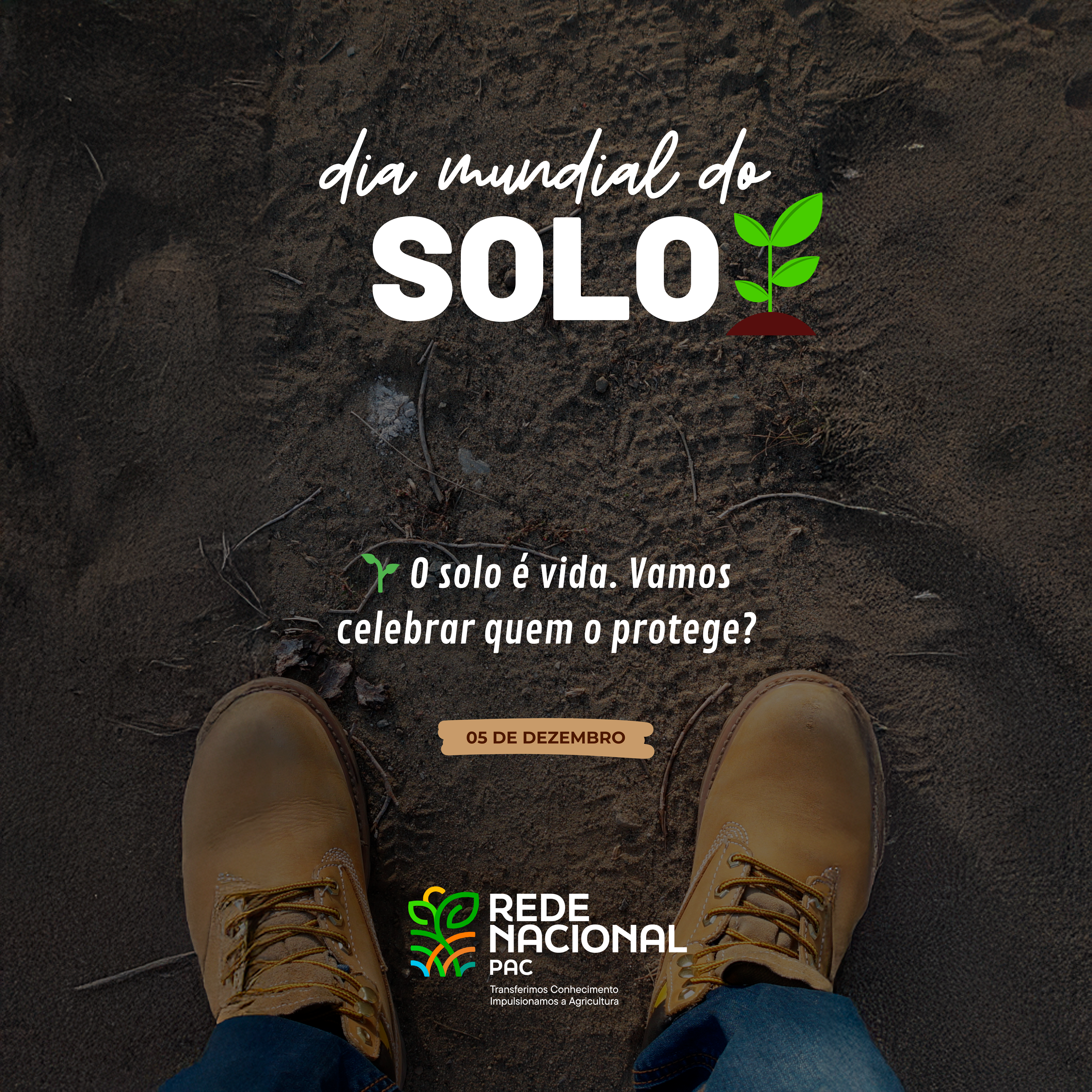 Cópia de Dia Mundial do SOLO IG story