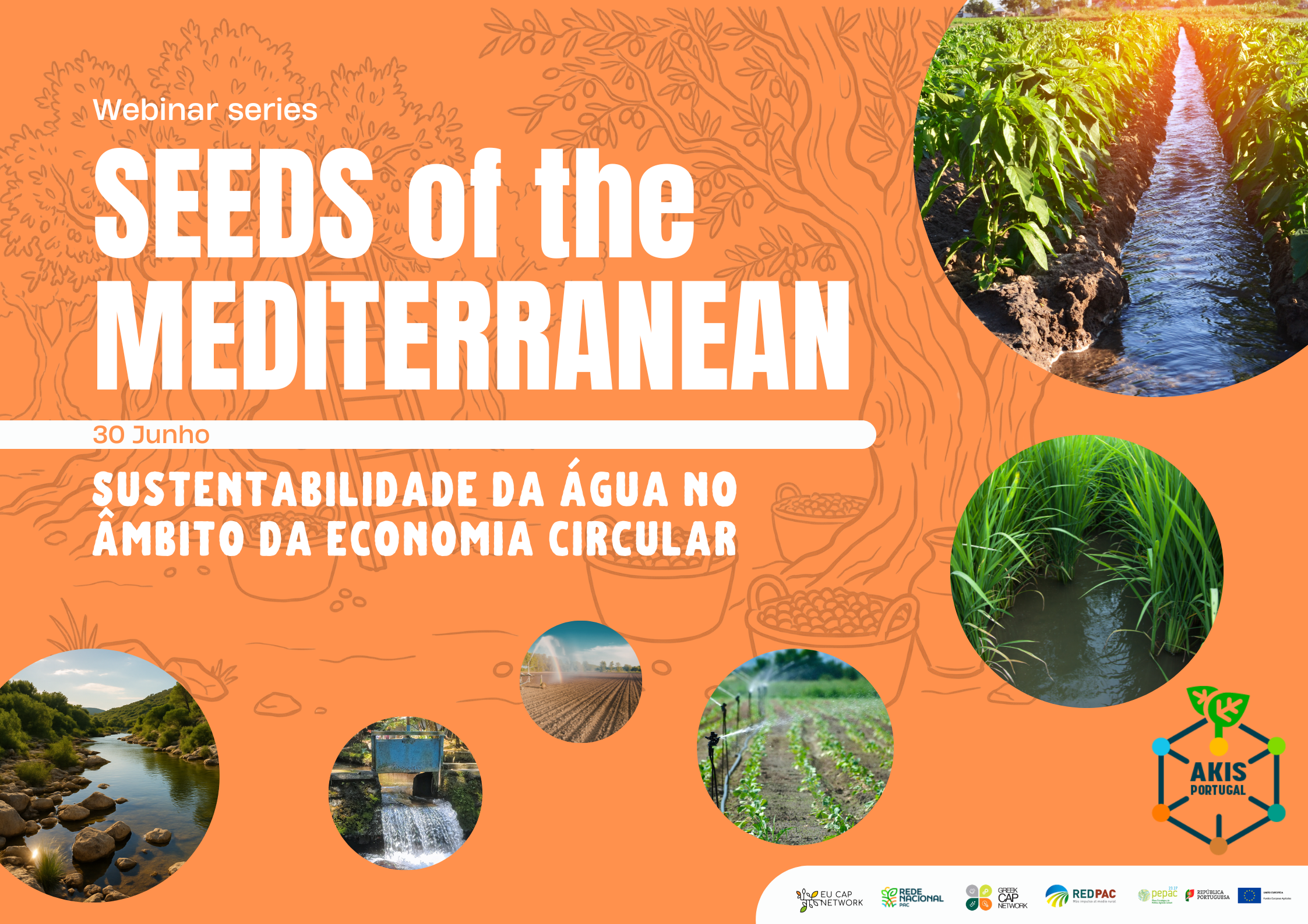 Cópia de SEEDS OF THE MEDITERRANEAN Apresentação 2