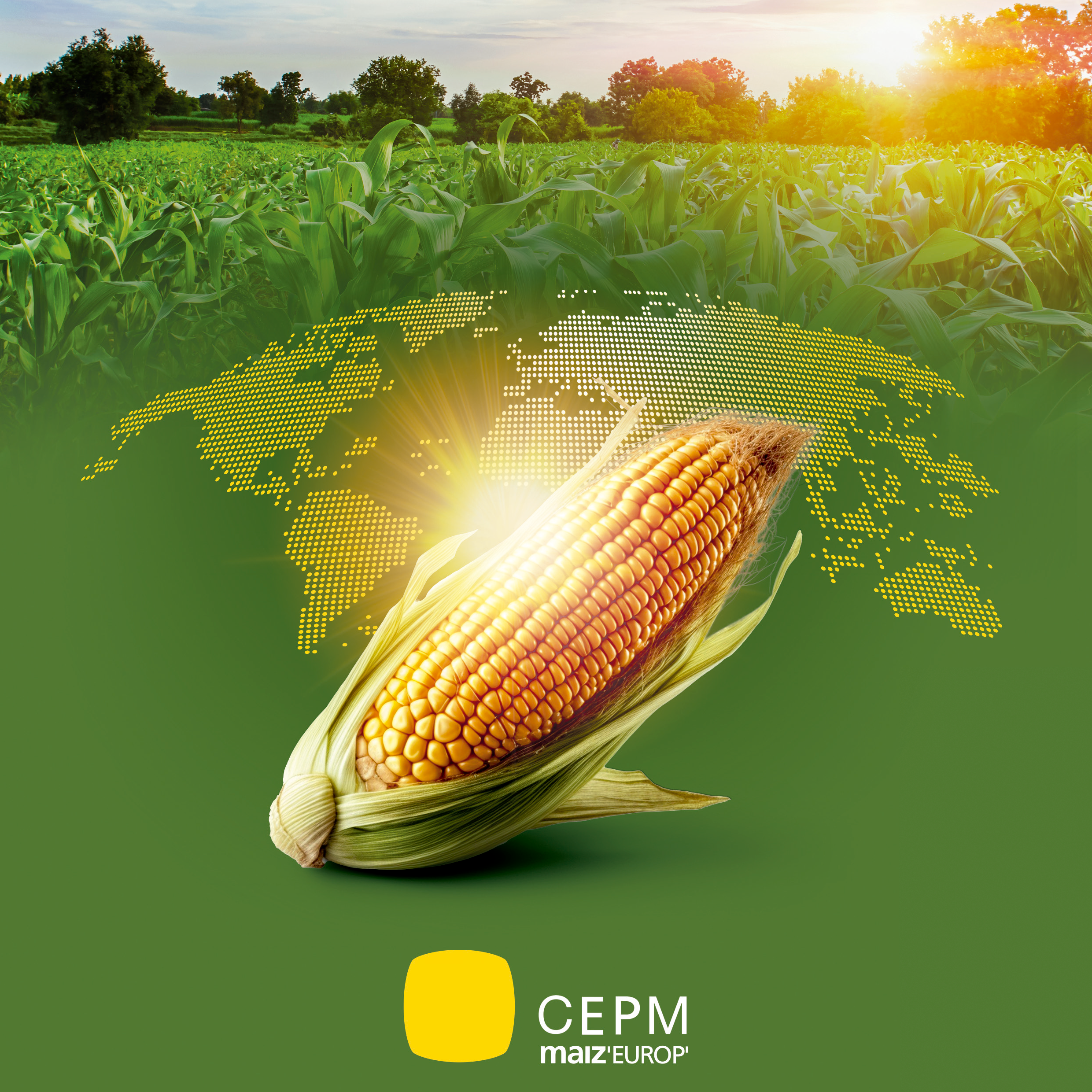 EU MERCOSUR AGREEMENT IMPACTS AND PROPOSALSFOR THE MAIZE SECTOR 1