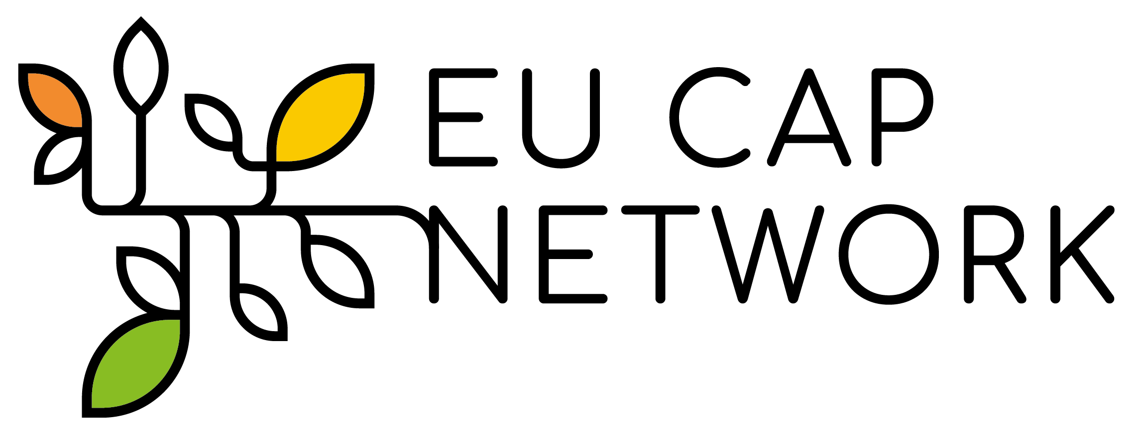 EU CAP network logo