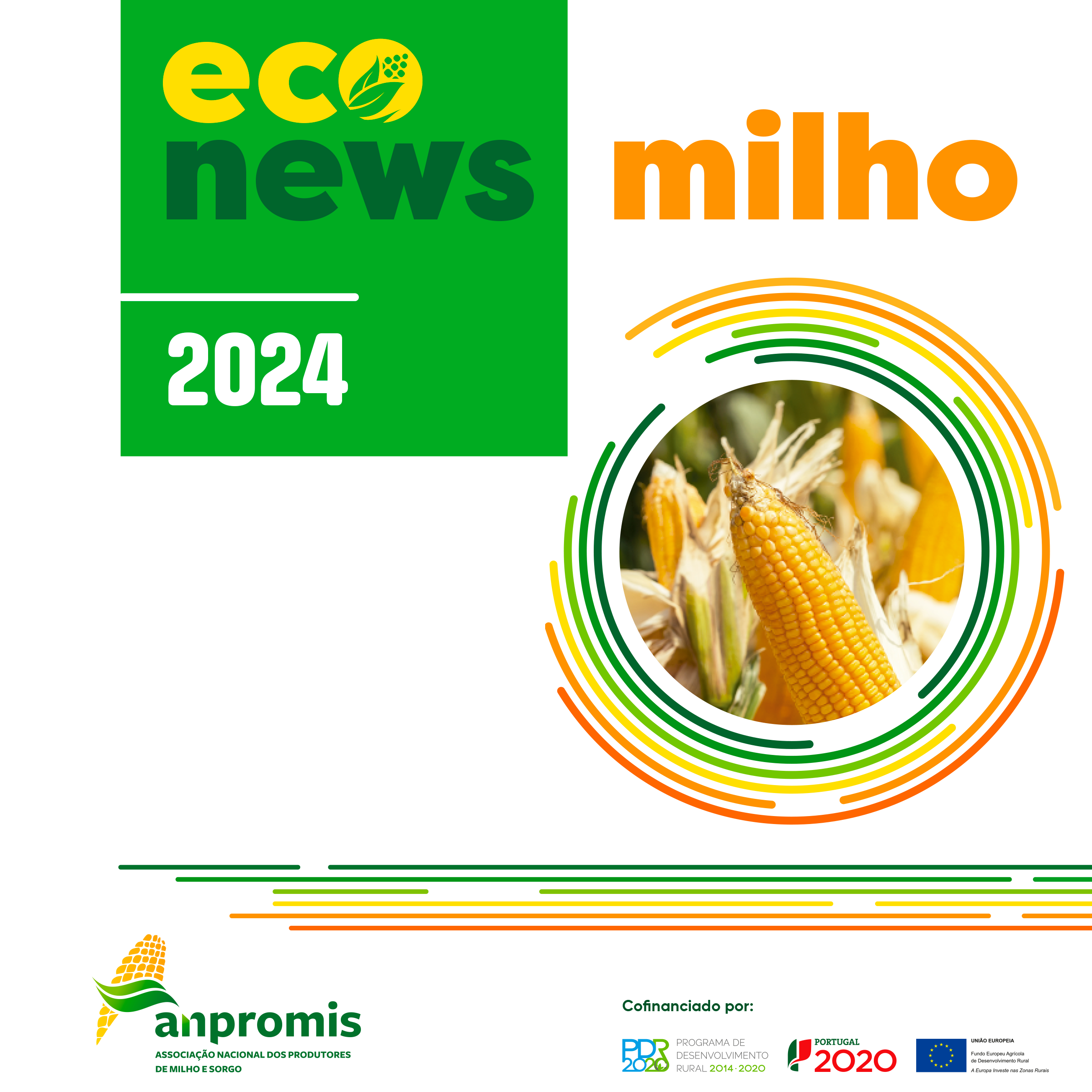 Eco News Milho 2024 1